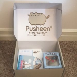PUSHEEN BOX: Summer 2019! ☀️🌊🦋